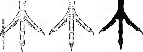 Black and white bird claw and talon silhouette collection including predator feet and eagle foot isolated on white background cad drawing flat vector illustration