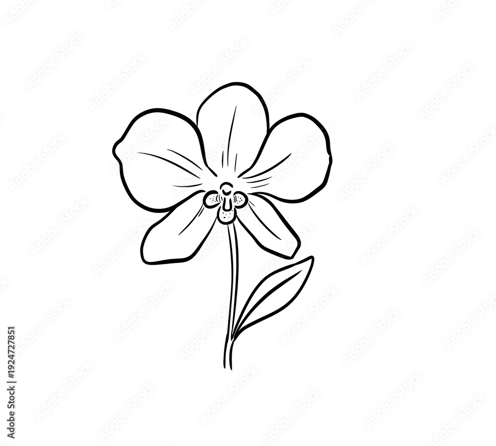 Fototapeta premium orchid digital drawing illustration isolated