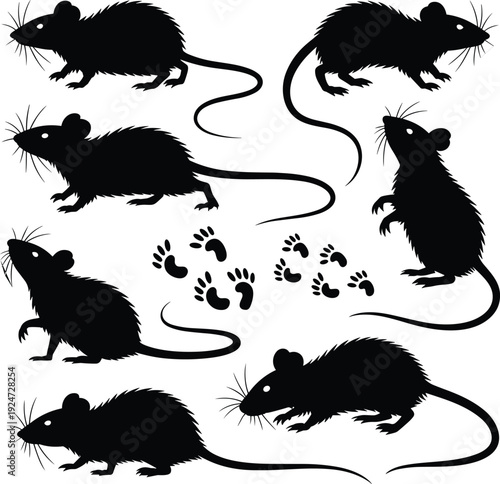 Black rat silhouette set with different poses and footprints isolated on white background, detailed rodent vector illustration collection for pest control, wildlife, and design use
