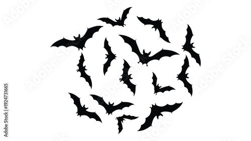 A flock of bats flying in a circular formation isolated on white background, Vector