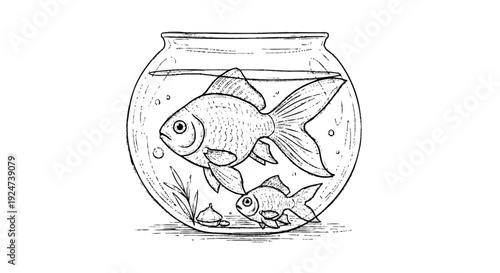 Goldfish Swimming Alone in Fishbowl.