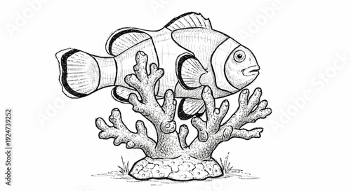 Clownfish Swimming Near Coral Reef Illustration.