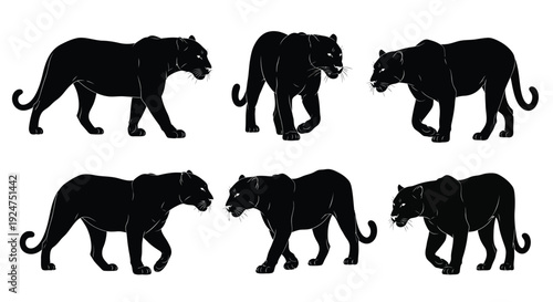 Silhouettes of black panthers in various walking and stalking poses