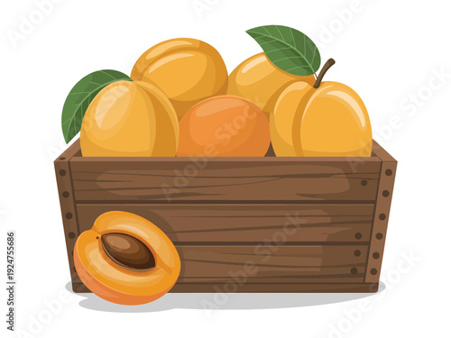 A wooden crate overflowing with fresh apricots and a halved fruit on the side.