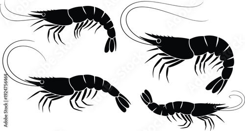 Shrimp silhouettes, marine life, seafood design, aquatic illustration, segmented body, long antennae, clean lines, minimal detail, ocean animal, biology, fishery, vector art