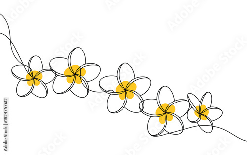 Elegant continuous line vector graphic illustration depicting a beautiful tropical frangipani flower border design element.