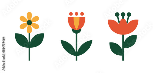 Simple illustrations of three different flowers on a white background.
