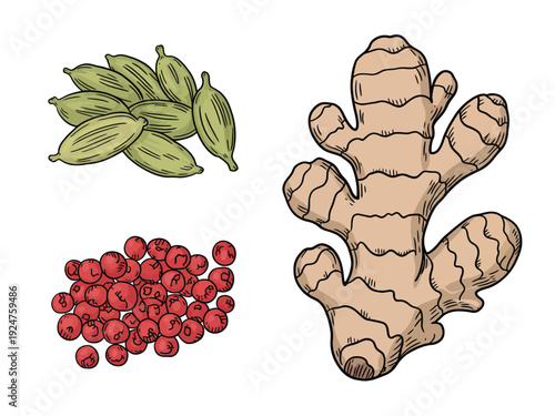 Image of cardamom pods, pink peppercorns, and ginger root displayed together.