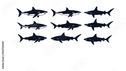 vector silhouettes of shark types 