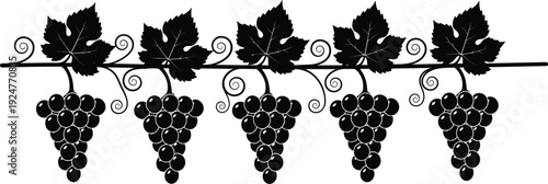 Black and white grapevine border illustration with hanging grape clusters leaves and vines decorative vector design element