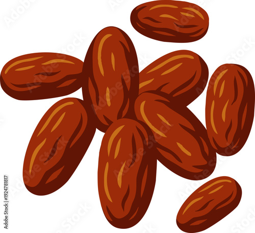 Digital illustration of dried dates, suitable for food packaging, health blogs, and nutrition content.