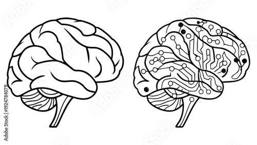Human Brain Anatomy And Artificial Intelligence Neural Network Vector Icon