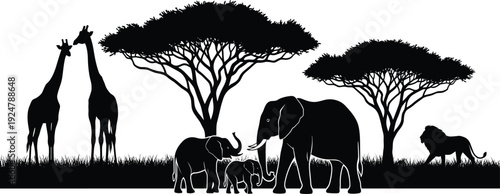 African savanna wildlife silhouette featuring elephants giraffes and a lion among acacia trees isolated on a white background vector illustration.
