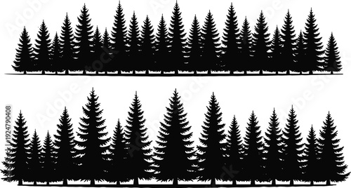 Spruce forest silhouette collection, evergreen pine tree woodland landscape, coniferous forest line background, nature wilderness outdoor scene, vector black tree set.