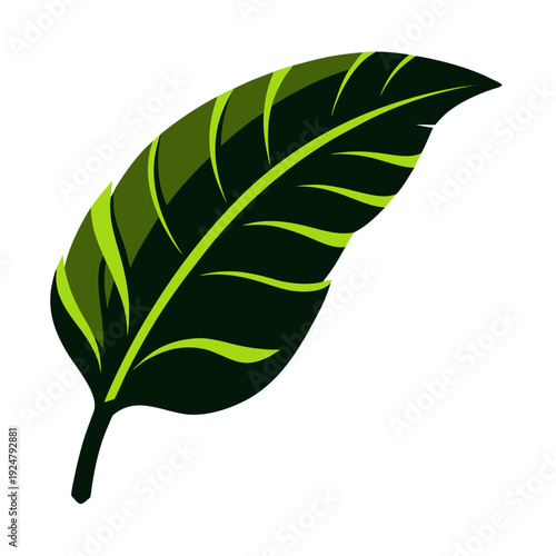 Tropical Banana Leaf Green Botanical Flat Vector Illustration