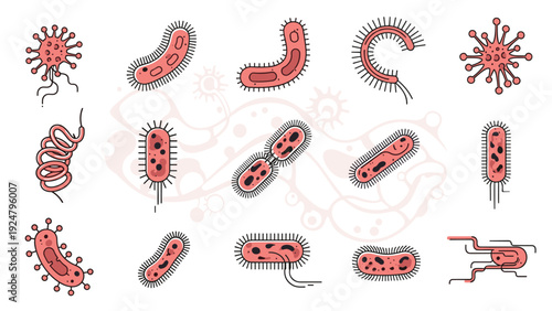 Detailed illustration of various types of bacteria and microscopic organisms in red and black colors for medical and science education.
