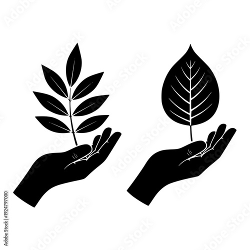 Hands nurturing young plants and a single leaf symbolizing growth and care for nature