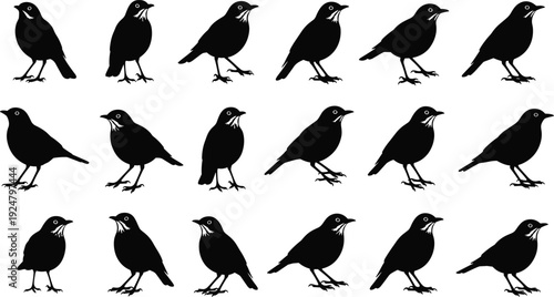 Black crow bird silhouette set standing raven collection vector illustration isolated on white background wildlife design pack