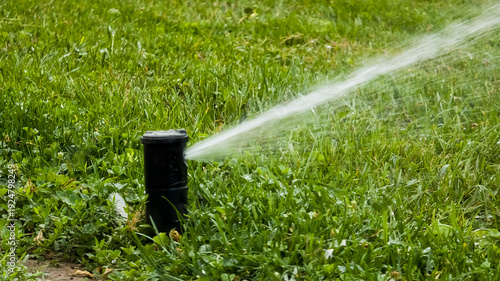 A pop-up lawn sprinkler sprays a powerful stream of water across a vibrant green lawn on a sunny day. The sprinkler head is black and is half-submerged in the grass.