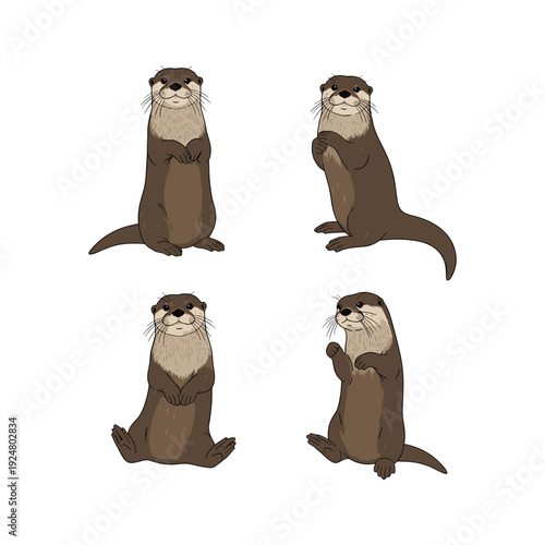 Cartoon otters standing on hind legs with different gestures on white background