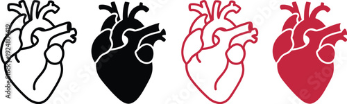 Human heart anatomy icon set showing chambers arteries and veins detailed medical illustration collection