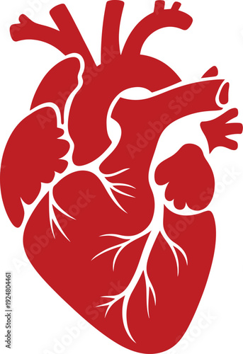 Medical heart anatomy icons showing internal structure arteries veins and chambers isolated vector illustration