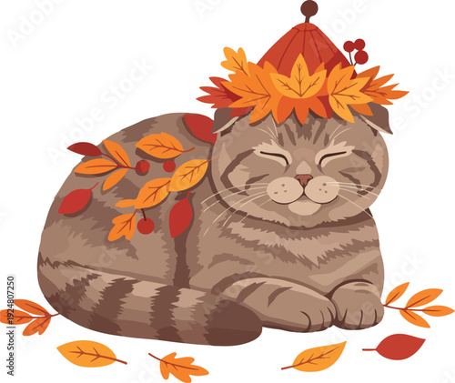 Cute Scottish Fold Cat Autumn Leaves Hat Isolated Object Flat Illustration