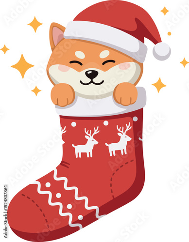 Cute Shiba Inu Dog Wearing Santa Hat Peeking Out Of Christmas Stocking
