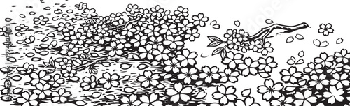 Horizontal Black and White Cherry Blossom Branches and Falling Petals Vector Illustration, Monochrome Sketch Banner of Spring Sakura Flowers and Windblown Petals