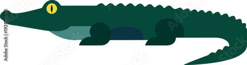 Green Alligator Minimalist Flat Design Isolated Vector