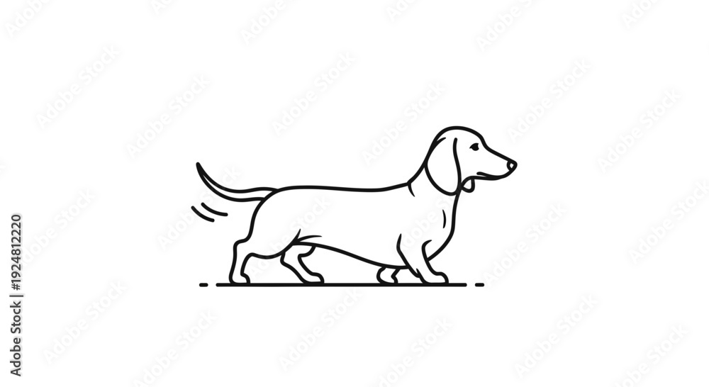 Fototapeta premium Minimalist Line Art Dachshund Dog Walking, Simple Outline Wiener Dog Illustration