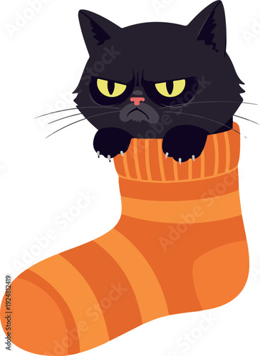 Grumpy Black Cat Stares Angrily From Orange Striped Sock