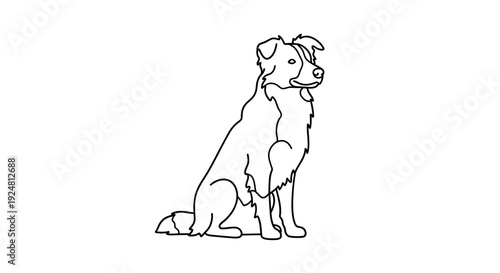 Line Art Illustration of a Sitting Border Collie Dog