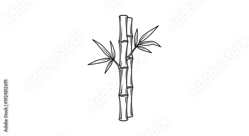 Minimalist Bamboo Stalks Illustration - Black and White Line Art