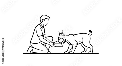 Man feeding a lynx from a bowl, line art illustration