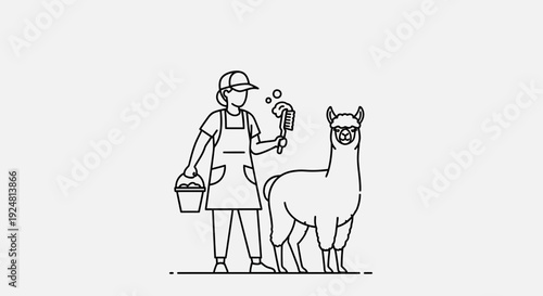 Grooming Alpaca: Person with Bucket and Brush Washing Llama Animal