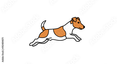 Energetic Jack Russell Terrier Running Joyfully, White and Brown Dog in Motion