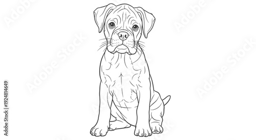 Cute Boxer Puppy Sitting Portrait, Outline Drawing, Line Art, Adorable Dog Illustration