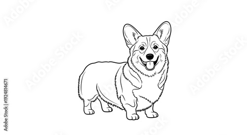 Cute Corgi Dog Line Art Drawing, Happy Welsh Corgi Pet Portrait, Adorable Dog Breed Illustration