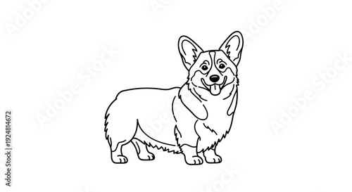 Cute Corgi Dog Line Art Drawing: Adorable Pembroke Welsh Corgi Standing, Simple Black and White Illustration