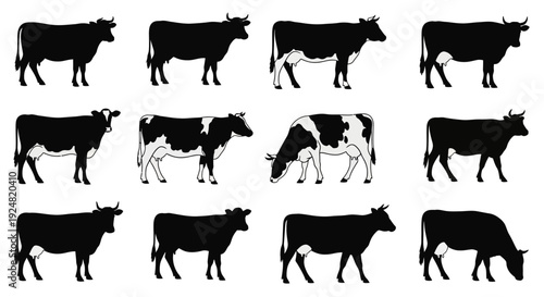 Set of black and white cow silhouettes in various poses