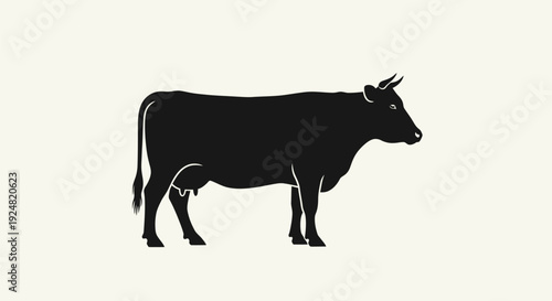 Majestic black cow standing in profile view