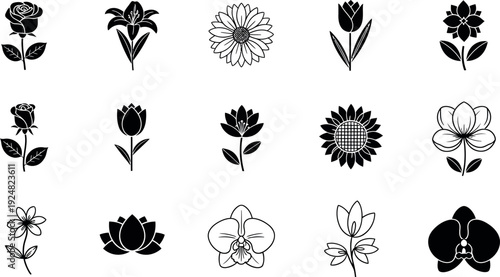 Collection of black and white floral including roses tulips lilies sunflowers and orchids lily