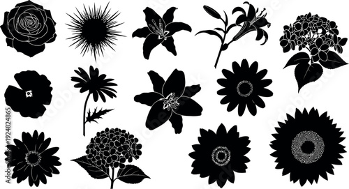 Collection of black flower silhouettes including rose lily sunflower hydrangea poppy and thistle