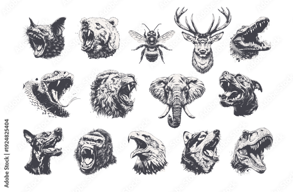 Fototapeta premium Fierce wild animal heads set, hand drawn engraved style illustrations for apparel and tattoo design.