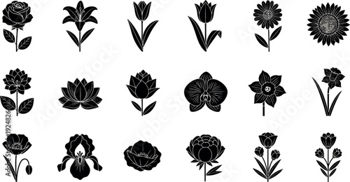 Collection of black silhouette flower including rose lily tulip sunflower orchid daffodil poppy iris peony