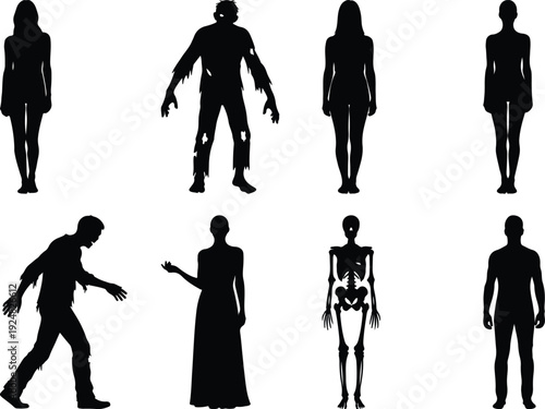 Evolutionary depiction of human forms from skeletal to modern attire silhouettes