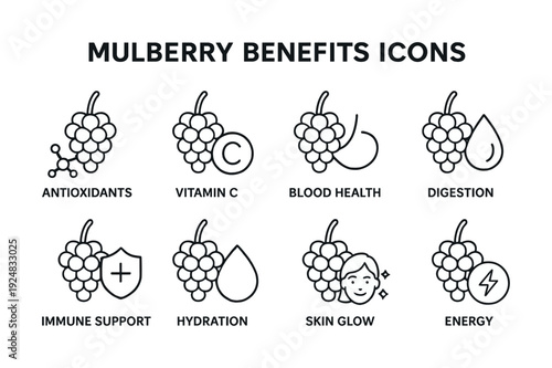Mulberry benefits icons: antioxidants, vitamin c, blood health, digestion, energy