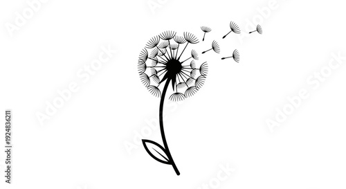 Black and White Dandelion Seed Head Blowing in the Wind, Spreading Seeds