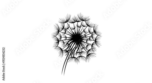 Black and White Dandelion Seed Head Close-up, Delicate Nature Macro, Minimalist Botanical Illustration